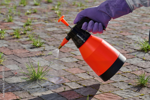 Close up of a portable pump pesticide sprayer in a gardener's hand.