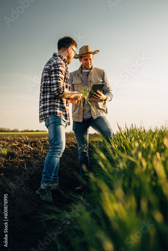 Two farmers using technology to check crop quality.
