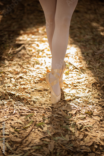 detail shot of the legs of a classical ballet dancer with her typical shoes and white tights, in an autumn forest full of fallen leaves on the ground and the sunlight at dusk illuminating them. 