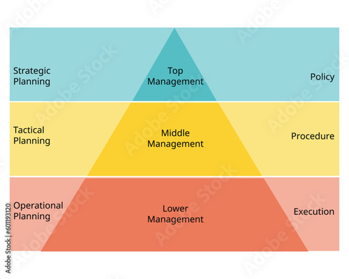 Management Pyramid and type of Management Structures hierarchy