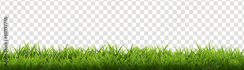 Grass Border With Isolated Transparent Background