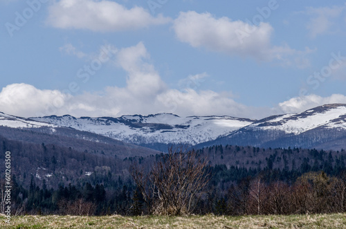 Torfowisko wysokie Tarnawa Górna Bieszczady widok na połoniny 