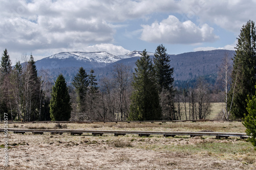 Torfowisko wysokie Tarnawa Górna Bieszczady ścieżka 