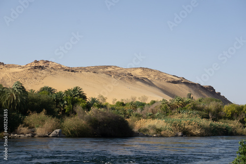 Paesaggio caratteristico della zona nubiana in Egitto, riva del Nilo, vegetazione, palme e dune di sabbia 