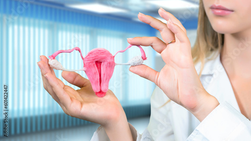 Uterus and ovaries. Woman gynecologist cropped. Female genital organ. Model of uterus in hands of girl. Study of female sexual function. Health uterus and ovaries. Study of women's diseases concept