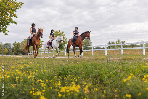 Horsewomen riding beautiful horses along the trail at the equestrian center on a bright summer day. Horse gait walks concept.