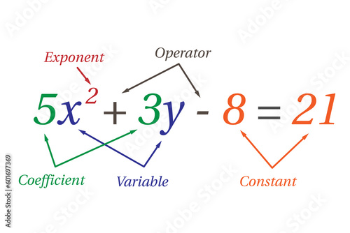 Parts of polynomial algebraic expressions. School. Math. Vector illustration.