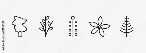 nature outline icons set. nature icons such as sassafras tree, willow, mimosa, neroli, larch vector. can be used web and mobile.