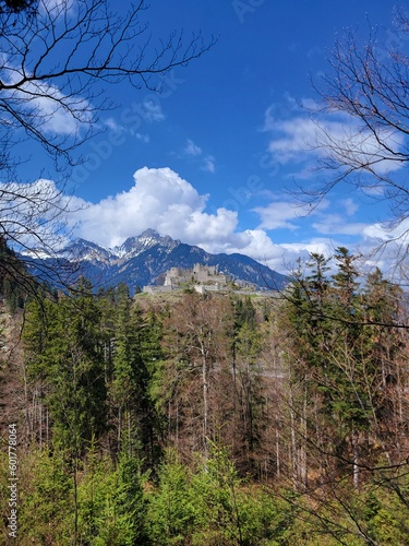 Forest and Castle in Austrian Alps