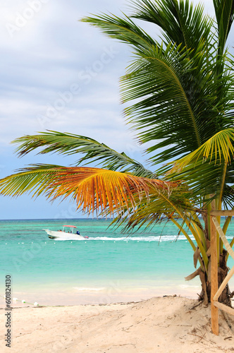 Tropical beach with palm tree and small boat