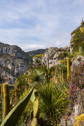 Jardin Exotique d'Eze avec ses plantes succulentes sur le sommet du piton rocheux