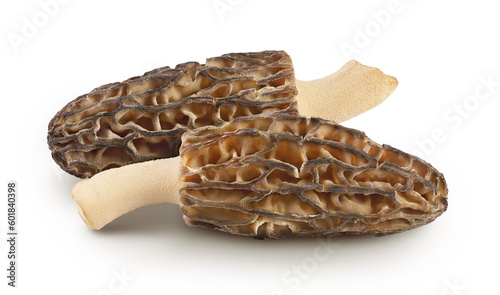 raw morel mushroom isolated on white background with full depth of field