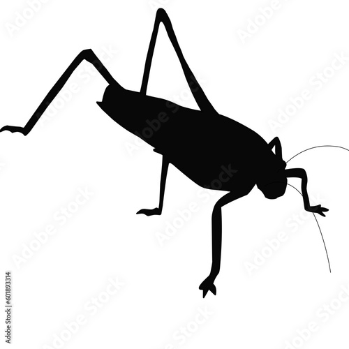 grasshopper silhouette
