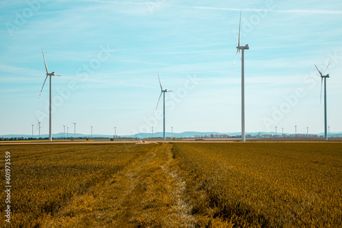 Wiatraki prądotwórcze są rozmieszczone w sposób strategiczny, tworząc imponującą farmę wiatrową, która przyczynia się do zrównoważonego rozwoju energetycznego. Energetyczne giganty wznoszą się dumnie 