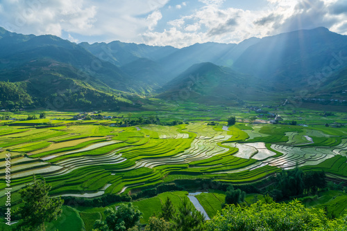 Terraced rice field in water season in Mu Cang Chai, Yen Bai Vietnam