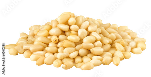 Pine nut isolated on white background, full depth of field