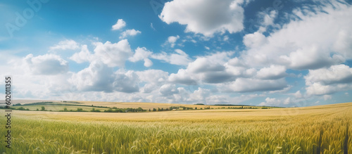 Natural landscape with green grass, field of Golden ripe wheat AI generated image