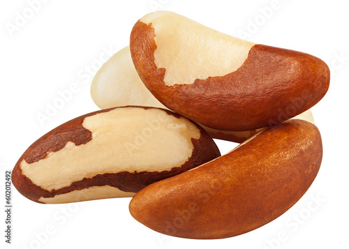 Brazil Nut isolated on white background, full depth of field