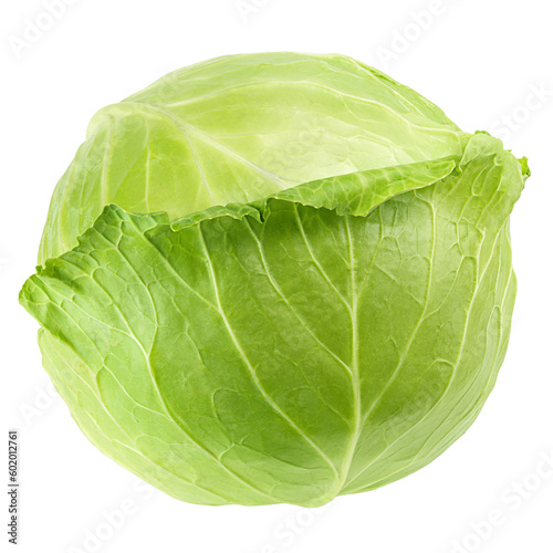 cabbage isolated on white background, full depth of field