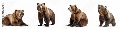 Wildlife animals bears banner panorama long - Collection of standing, sitting, screaming, lying group of brown bear (ursus arctos) , isolated on white background, Generative Ai