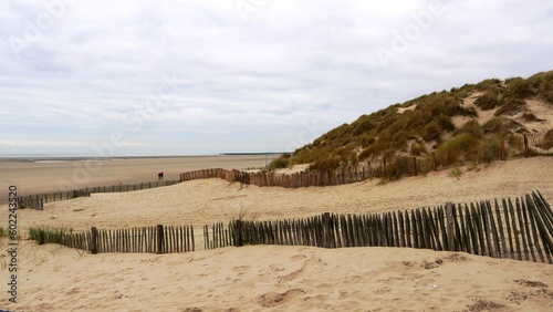 Ganivelle, clôture de protection du littoral, sur la plage de Sainte Cécile plage au bord de la Manche, département du Pas de Calais en France