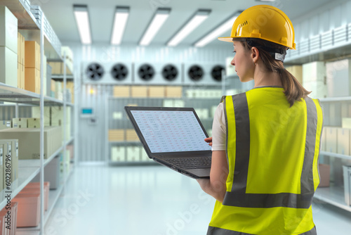 Woman in industrial refrigerator. Freezer in supermarket warehouse. Woman in yellow vest and helmet. Girl controls operation of warehouse refrigerator. Warehouse refrigerator with boxes on racks