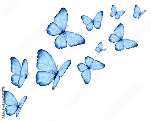 set of butterflies isolated on white