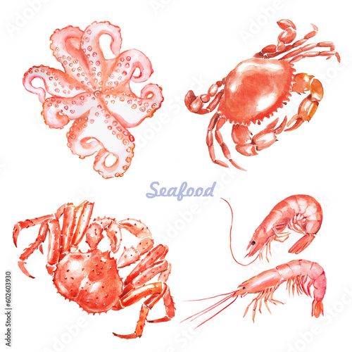 Seafood, shrimps ,seafood illustration , crustacean , octopus, shrimp, watercolor crab , crabs , crustaceans, seafood , crawfish, watercolor, food illustrations