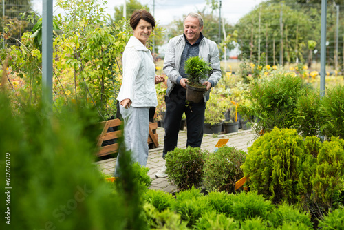 Aged man and woman customers buying plant of cypress in open-air market