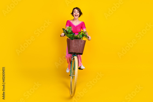 Full length photo of impressed ecstatic woman wear pink knit top trousers riding bicycle with flower isolated on yellow color background