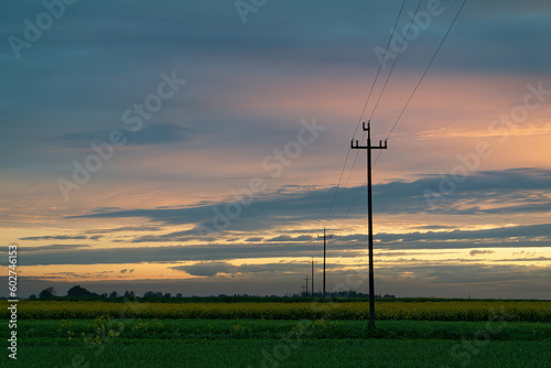 Słupy energetyczne niskiego napięcia o zachodzie słońca na polach. Krajobraz wiosenny.