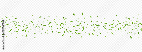 Lime Greens Spring Vector Panoramic Transparent