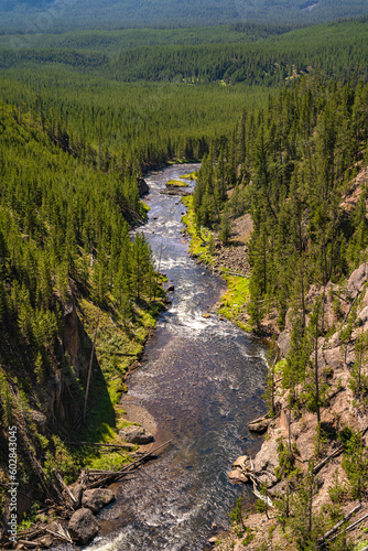 Scenic view of the Gibbon river in Yellowstone National Park.