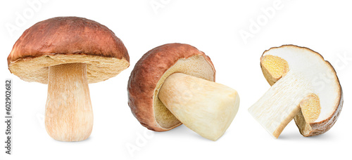 three porcini mushroom (cep) from different angles in a row on a white isolated background