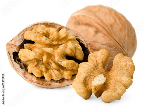 walnut, peeled and in shell, on a white isolated background