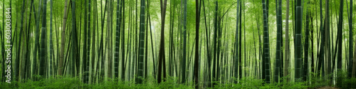 Arashiyama Bamboo Grove Kyoto Japan - Generative AI