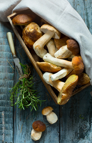 art Basket with fresh porcini mushrooms in the summer or autumn season; cep mushrooms and spices herbs on a wooden table; Italian recipe