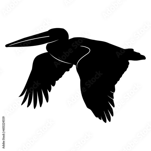 flying pelican silhouette