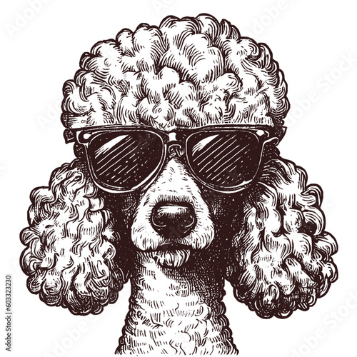 cool poodle dog wearing sunglasses sketch
