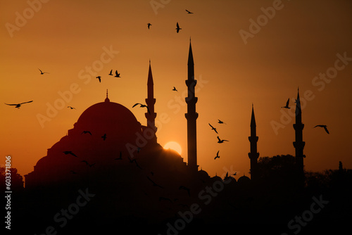 Istanbul mosque at sunset and the seagulls