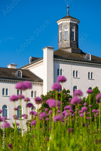 Historic hospital building from 1853 in old town of Iserlohn Sauerland Germany with white renovated facade on a sunny spring morning with blue sky. Blurred lilac Allium flowers in the foreground.