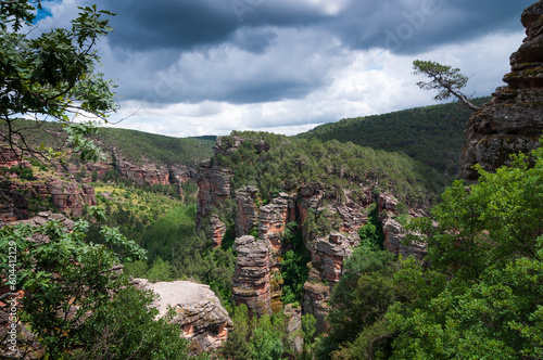 Vista panorámica del barranco de la Hoz, en el parque natural del Alto Tajo, Guadalajara, Castilla la Mancha, España.