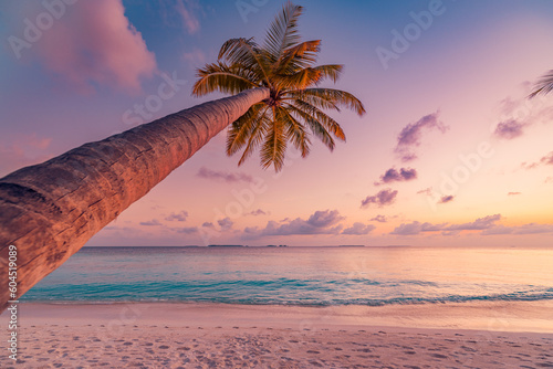 Lonely palm tree sea sand beach. Panoramic dream beach landscape. Inspire tropical seascape horizon. Orange and golden sunset sky calm tranquil relaxing summer vibes. Perfect wallpaper best background