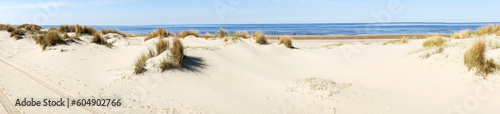 Panoramic image of sand dunes on the North Sea coast