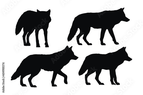 Coyote standing design on a white background. Wild coyote silhouette set vector. Coyote wolf silhouette bundle design. Carnivore animals walking in different positions silhouette collection.