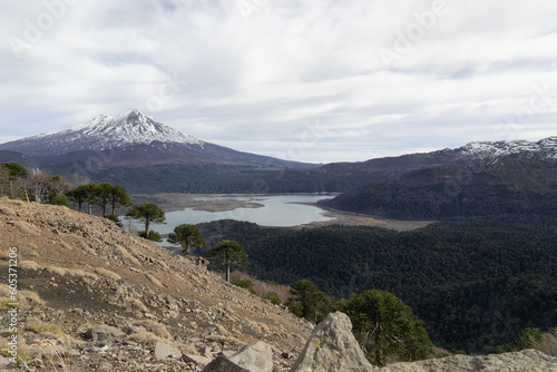 Panoramic view of llaima volcano, lagoons and araucarias in Conguillio National Park, Chile.