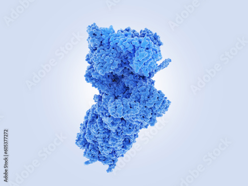 26S proteasome. Proteasomes degrade unneeded or damaged proteins.