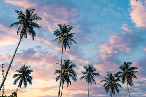 Gorgeous sky with clouds over the coconut palms on the tropical beach.