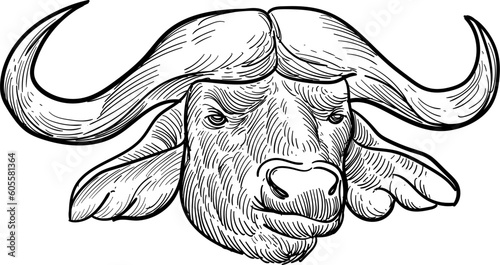 Vintage hand drawn sketch buffalo Nepal head