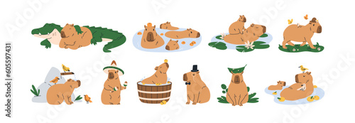 Cute capybaras set. Funny amusing capibara characters swimming in water, bathing, walking, relaxing, playing. Adorable nice animal. Childish flat vector illustrations isolated on white background